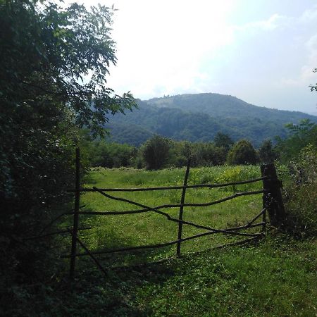 Guesthouse Smiljanic Slavkovica Eksteriør billede