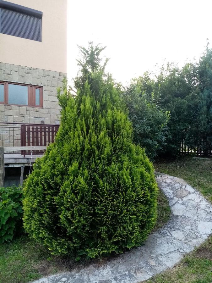 Guesthouse Smiljanic Slavkovica Eksteriør billede