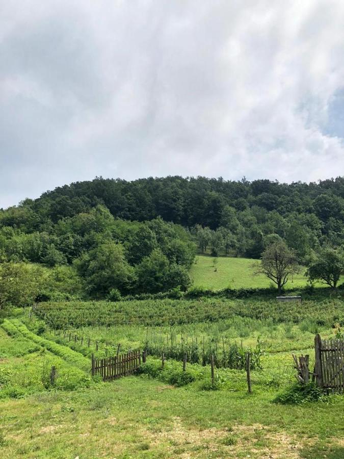Guesthouse Smiljanic Slavkovica Eksteriør billede