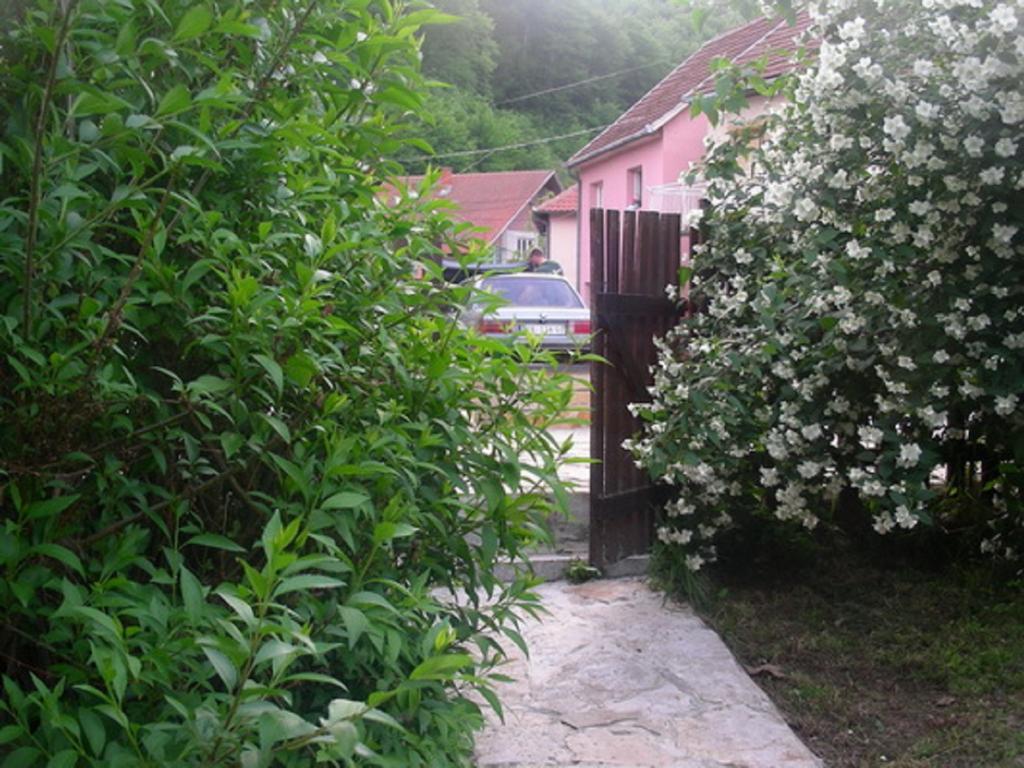 Guesthouse Smiljanic Slavkovica Eksteriør billede
