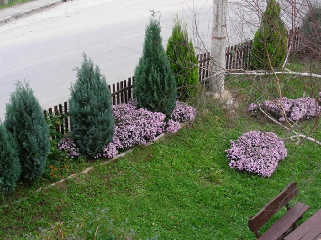 Guesthouse Smiljanic Slavkovica Eksteriør billede